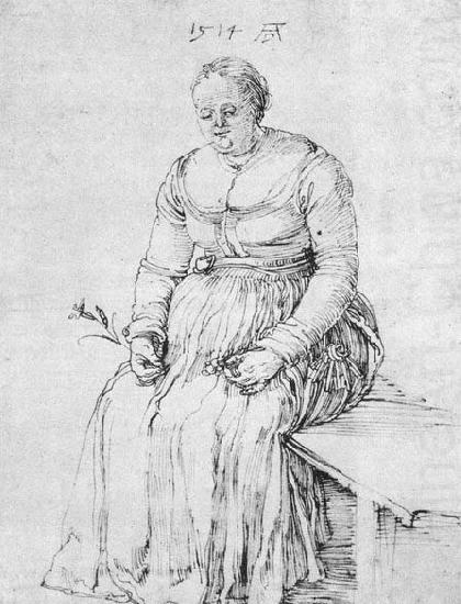 Albrecht Durer Seated Woman china oil painting image